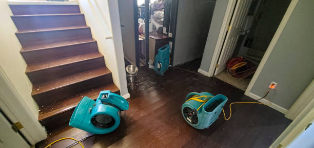 Best Emergency water damage restoration  in Sumter, SC