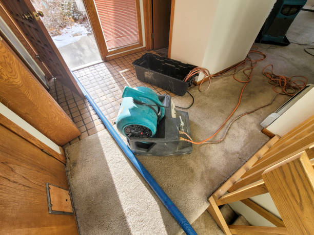 Professional Water damage restoration in SC