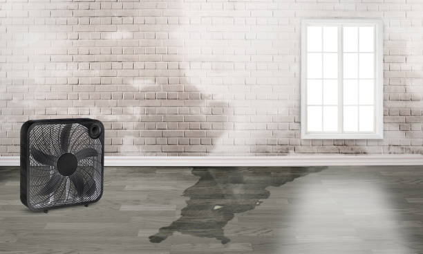 Best Commercial water damage restoration  in Sumter, SC