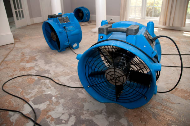 Best Mold removal after water damage  in Sumter, SC