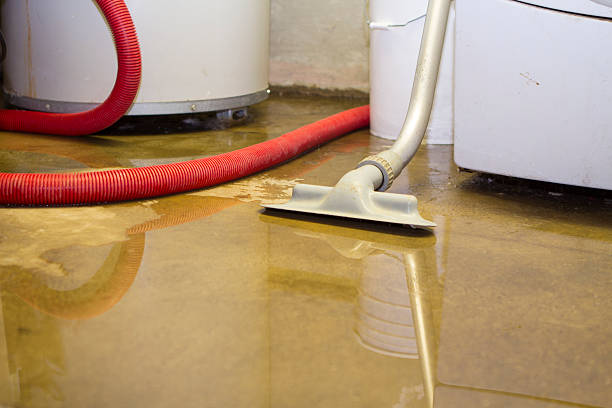 Best Carpet water damage restoration  in Sumter, SC