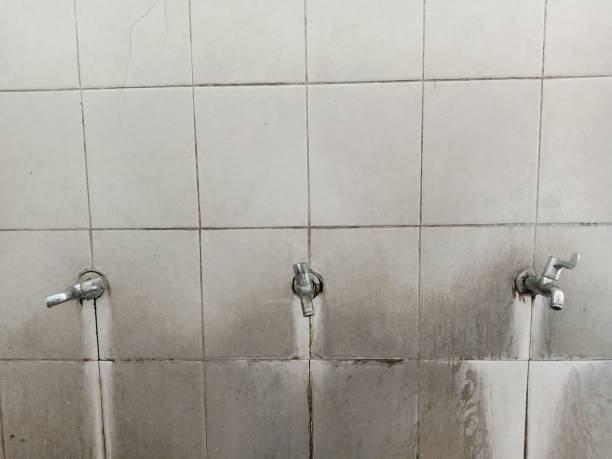 Best Fire Damage Restoration  in Sumter, SC